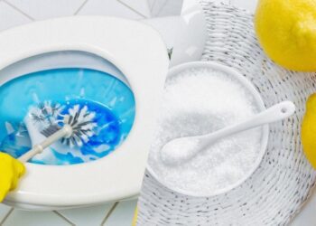 Навіть товстий шар нальоту відвалиться сам: ось чим треба обробити унітаз