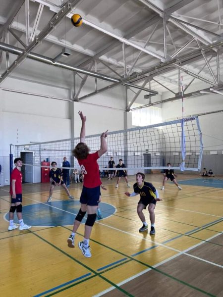 Переможецем обласних змагань з волейболу стала Шосткинська “Барса”