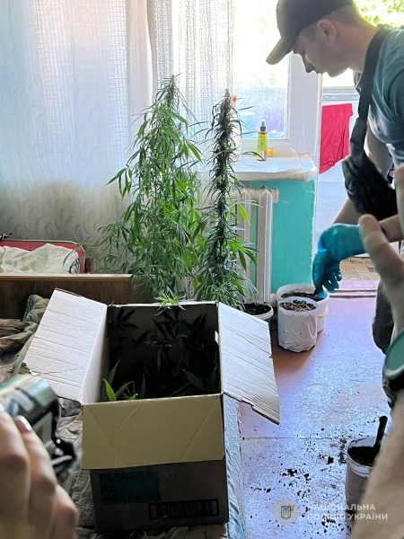 Поліцейські Сумщини викрили 14 громадян у незаконному зберіганні наркотиків