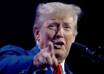 Помічник Трампа звинуватив Індію у фінансуванні війни РФ проти України