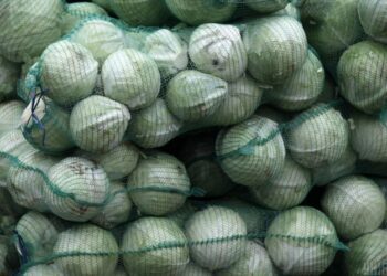 Ще один овоч стрімко дешевшає в Україні: ціна просіла вже на 20%