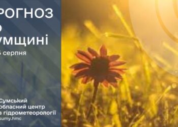 Що прогнозують сумські синоптики на початку нового тижня?