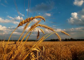 Синоптики розповіли, яка погода очікується на початку нового робочого тижня