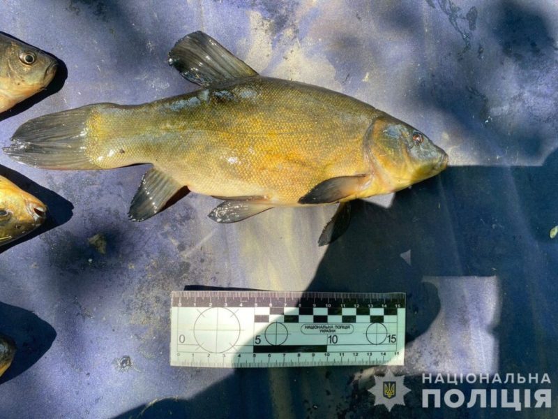 У Шосткинському районі поліцейські викрили молодиків, які сітками ловили рибу