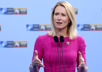 У ЄС домовились після початку перемир’я розмістити військових інструкторів в Україні