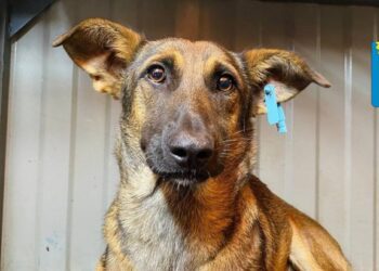 УВАГА! ТЕРМІНОВА ІНФОРМАЦІЯ!