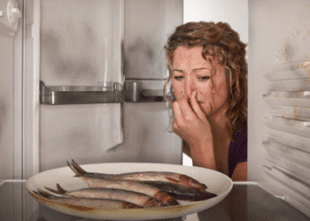 Запах гнилої риби у холодильнику: звідки береться та як ефективно позбутися
