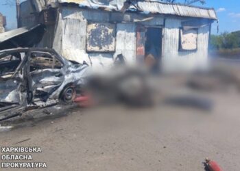 Зросла кількість загиблих удару РФ по Новоплатонівці: у лікарні померла 85-річна жінка