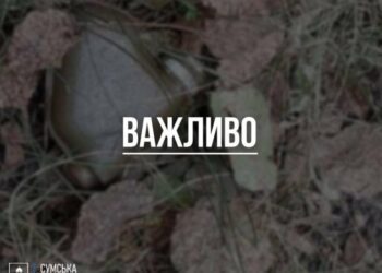 На Сумщині чоловік збирав гриби та підірвався на ворожій міні, – ОВА