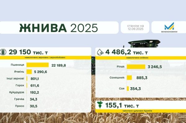 В Україні зібрали майже 30 млн тонн зерна нового врожаю В Україні зібрали майже 30 млн тонн зерна нового врожаю