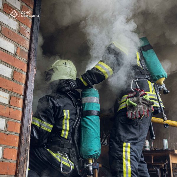 Рятувальники гасили пожежу під Сумами у с. Піщане