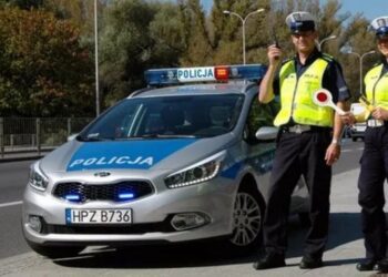 Податкова служба Польщі продає конфісковані у п’яних водіїв авто у середньому за 1000 євро