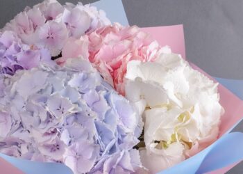 квіти доставка