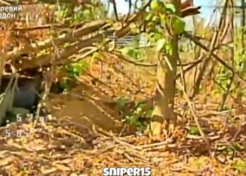 Бійці «Сталевого кордону» успішно нищать ворожі укриття та зв’язок на Сумському напрямку + Відео