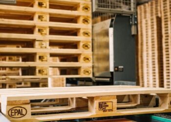 Бізнес заявляє про проблеми з відвантаженням деревини у Столичному лісовому офісі