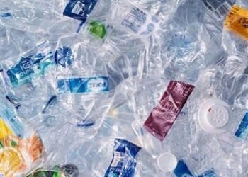 Вчені виявили мікропластик у людських кістках