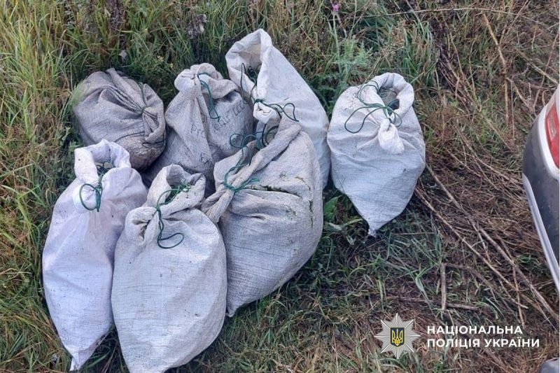 На Роменщині поліцейські викрили факт незаконного вилову риби