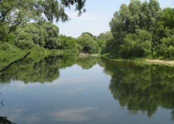 Фахівці розповіли про стан Сейму