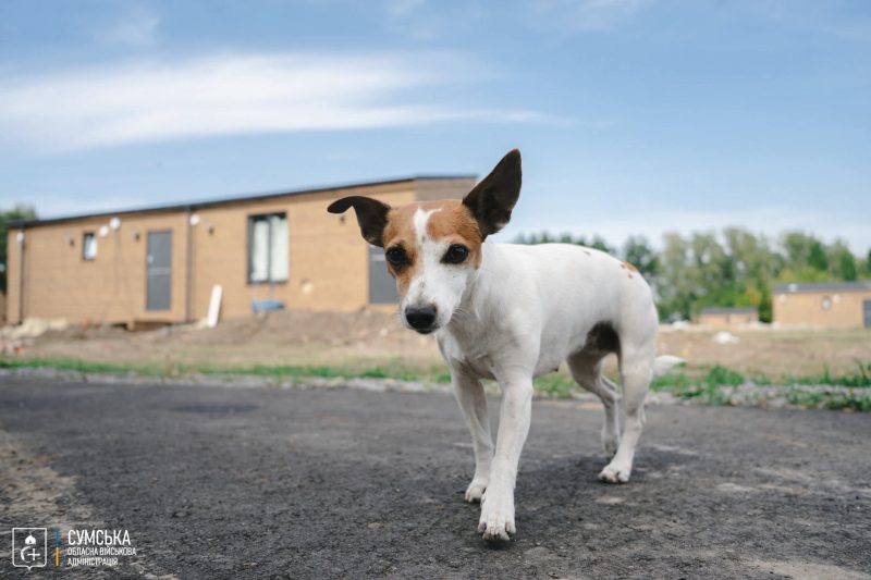 Голова Сумської ОВА Олег Григоров відвідав Роменщину: житло для ВПО, підтримка військових і розвиток громад + ФОТО