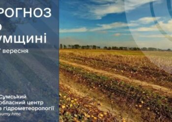 Яку погоду прогнозують синоптики на Сумщині вихідними