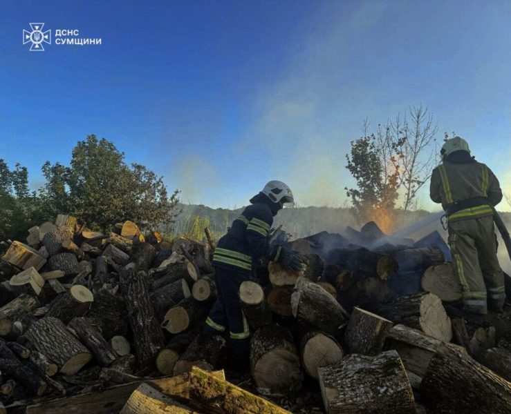 Минулої доби рятувальники неодноразово ліквідовували загоряння сухої рослинності, зокрема і в Шосткинському районі (+ відео)