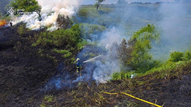 Минулої доби рятувальники неодноразово ліквідовували загоряння сухої рослинності, зокрема і в Шосткинському районі (+ відео)
