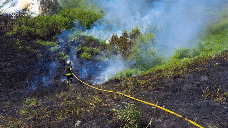 Минулої доби рятувальники неодноразово ліквідовували загоряння сухої рослинності, зокрема і в Шосткинському районі (+ відео)