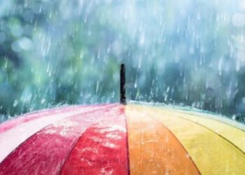 На початку тижня на Сумщині очікуються дощі