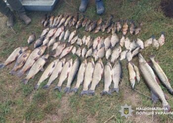 На Роменщині чоловік наловив понад 80 рибин сітками — поліція відкрила кримінальне провадження
