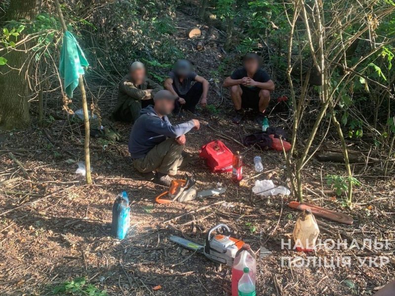 На Роменщині поліцейські припинили незаконну вирубку деревини