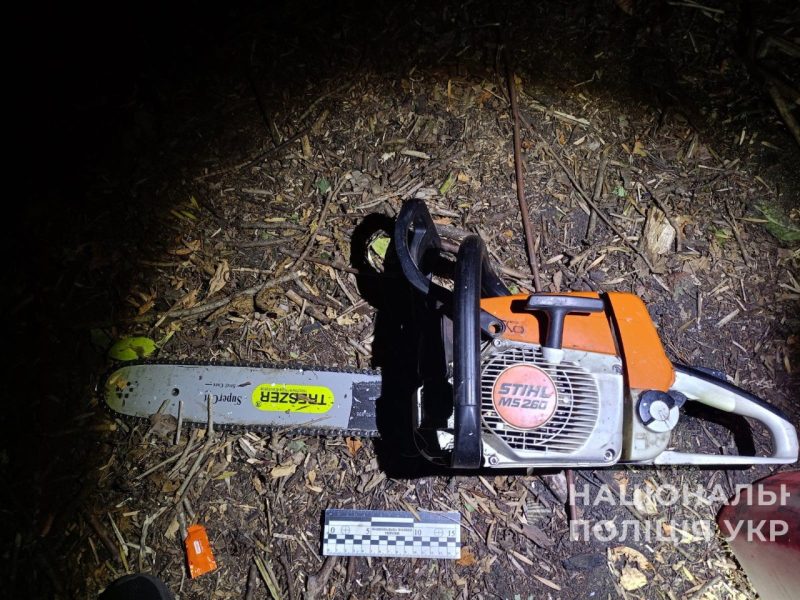 На Роменщині поліцейські припинили незаконну вирубку деревини