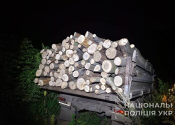 На Роменщині поліцейські припинили незаконну вирубку деревини