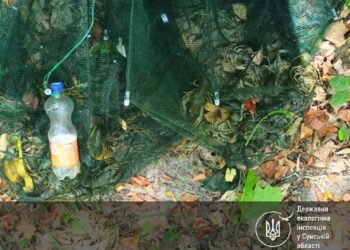 На Сумщині екоінспектори затримали браконьєрів-раколовів