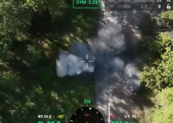 На Сумщині прикордонники знищили окупанта і fpv-дрон в засідці