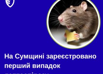 На Сумщині зареєстровано перший у 2025 році випадок лептоспірозу