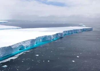 Найбільший у світі айсберг розколовся: що про це кажуть науковці