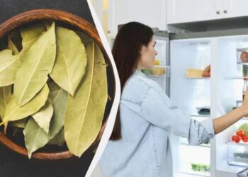 Один лавровий лист у холодильник, другий – під нього: головна проблема на кухні буде вирішена