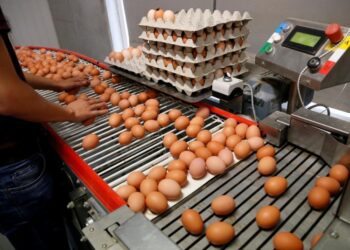 Одній із європейських країн не до смаку українські яйця: скаржаться на якість