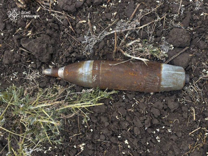 Піротехніки ДСНС знищили 5 вибухонебезпечних предметів,зокрема і в Шосткинському районі