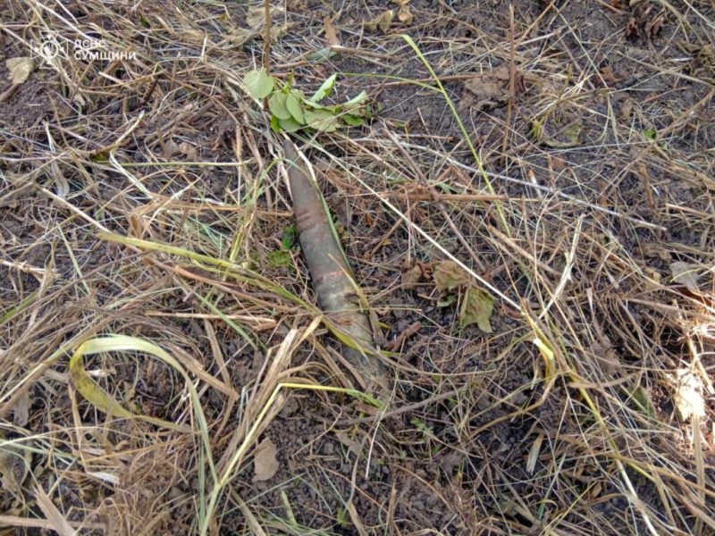 Піротехніки ДСНС знищили 5 вибухонебезпечних предметів,зокрема і в Шосткинському районі