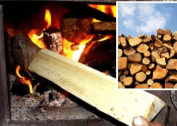 Шосткинська громада готується до зими і вже закуповує тверде паливо (+ відео)