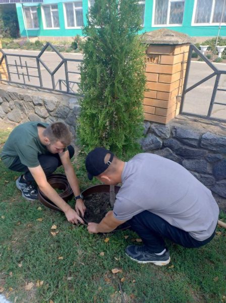 Студенти Роменського фахового коледжу СНАУ облаштували територію екобордюрами та замульчували туї