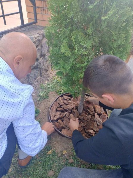 Студенти Роменського фахового коледжу СНАУ облаштували територію екобордюрами та замульчували туї