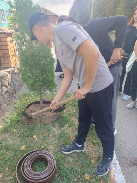 Студенти Роменського фахового коледжу СНАУ облаштували територію екобордюрами та замульчували туї