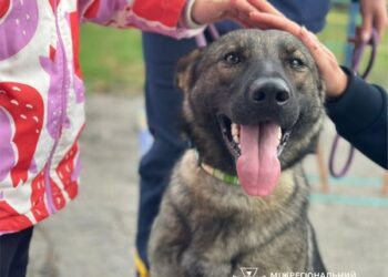 У Ромнах рятувальники та чотирилапа Нагайна навчали малечу правилам безпеки