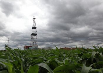 Закиди БЕБ про “обман на тендері” УГВ не мають документального підтвердження, – Юрій Нагорняк