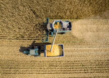 В Україні обмолочено 73% зернових площ