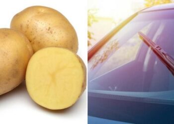 Чому українські водії натирають восени лобове скло картоплею – хитрість, яка справді працює