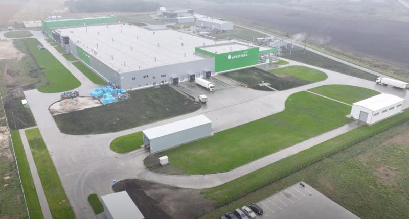 60 млн євро в чисте поле: виробник курятини розповів про створення найсучаснішого заводу в Україні