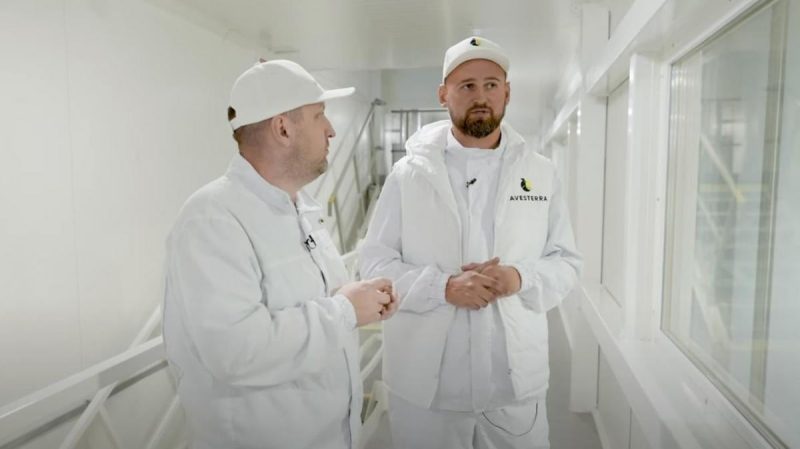 60 млн євро в чисте поле: виробник курятини розповів про створення найсучаснішого заводу в Україні